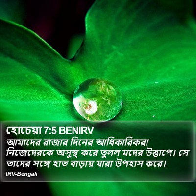 হোচেয়া 7:5 BENIRV Bible Verse Image
