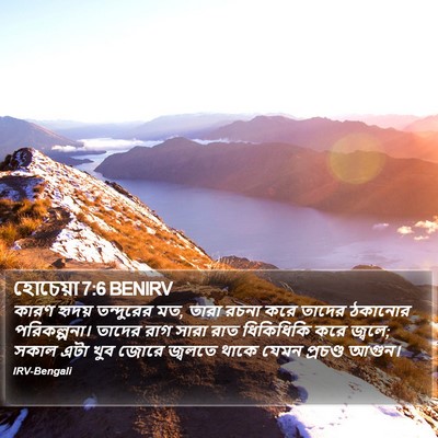 হোচেয়া 7:6 BENIRV Bible Verse Image