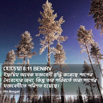 হোচেয়া 8:11 BENIRV Bible Verse Image
