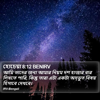 হোচেয়া 8:12 BENIRV Bible Verse Image
