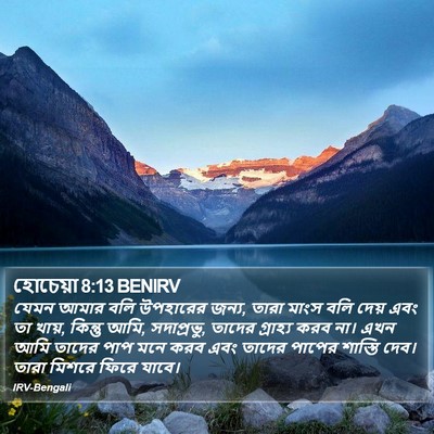 হোচেয়া 8:13 BENIRV Bible Verse Image