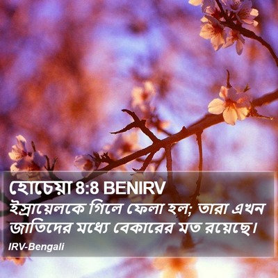 হোচেয়া 8:8 BENIRV Bible Verse Image
