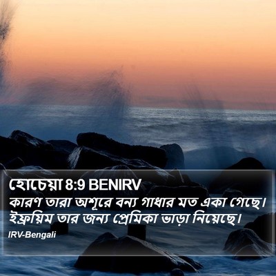 হোচেয়া 8:9 BENIRV Bible Verse Image