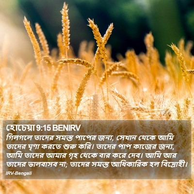 হোচেয়া 9:15 BENIRV Bible Verse Image