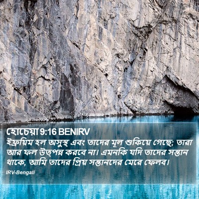হোচেয়া 9:16 BENIRV Bible Verse Image