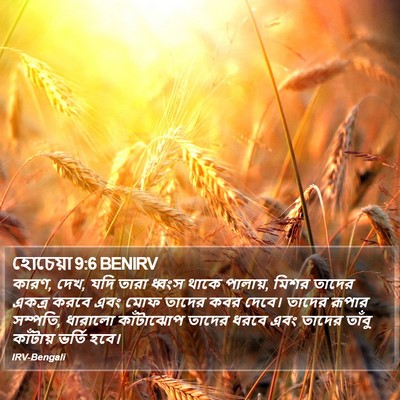 হোচেয়া 9:6 BENIRV Bible Verse Image