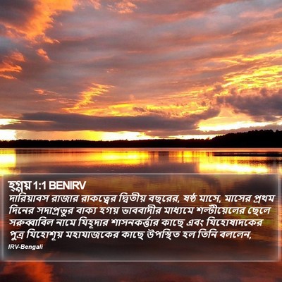 হ্গ্গয় 1:1 BENIRV Bible Verse Image