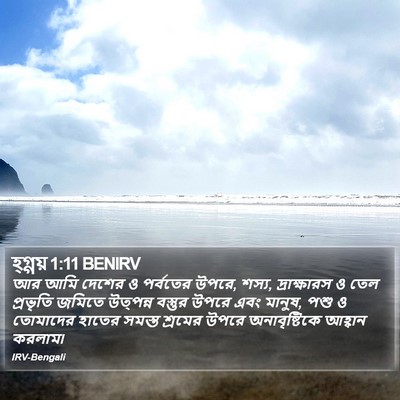হ্গ্গয় 1:11 BENIRV Bible Verse Image