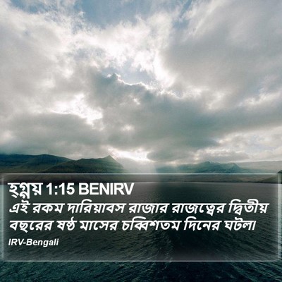 হ্গ্গয় 1:15 BENIRV Bible Verse Image