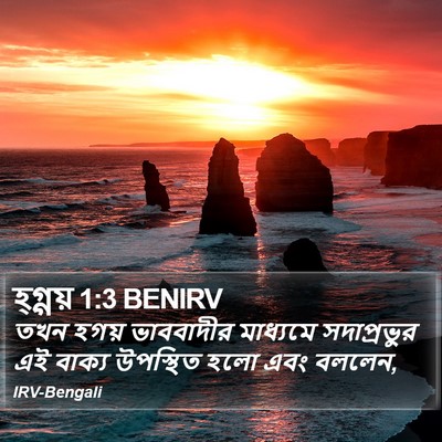 হ্গ্গয় 1:3 BENIRV Bible Verse Image