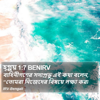 হ্গ্গয় 1:7 BENIRV Bible Verse Image
