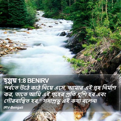 হ্গ্গয় 1:8 BENIRV Bible Verse Image