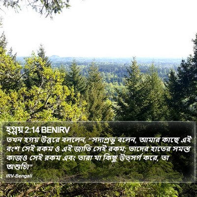 হ্গ্গয় 2:14 BENIRV Bible Verse Image