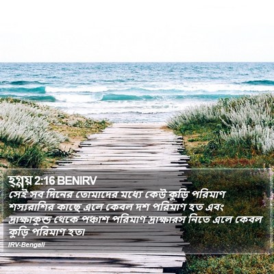হ্গ্গয় 2:16 BENIRV Bible Verse Image