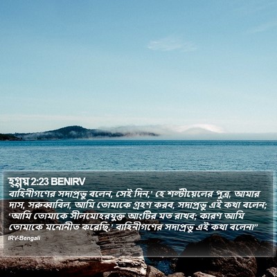 হ্গ্গয় 2:23 BENIRV Bible Verse Image