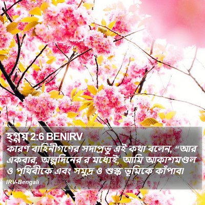 হ্গ্গয় 2:6 BENIRV Bible Verse Image