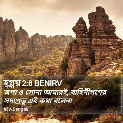 হ্গ্গয় 2:8 BENIRV Bible Verse Image
