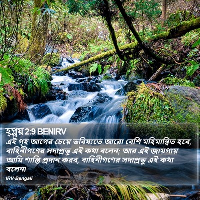 হ্গ্গয় 2:9 BENIRV Bible Verse Image