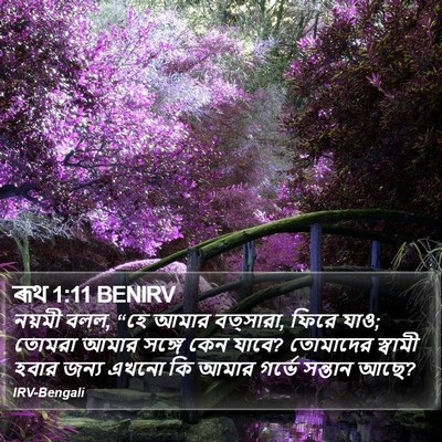 ৰূথ 1:11 BENIRV Bible Verse Image