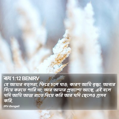 ৰূথ 1:12 BENIRV Bible Verse Image