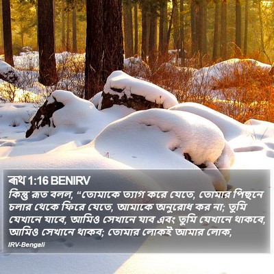 ৰূথ 1:16 BENIRV Bible Verse Image