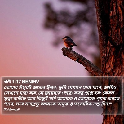 ৰূথ 1:17 BENIRV Bible Verse Image