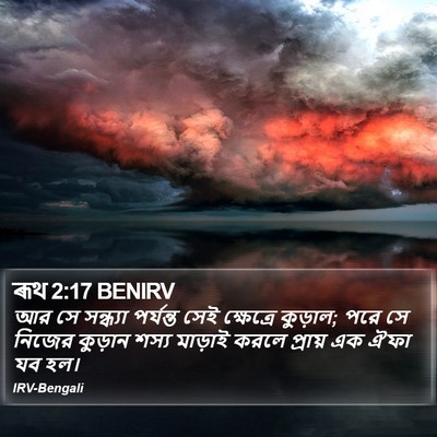 ৰূথ 2:17 BENIRV Bible Verse Image