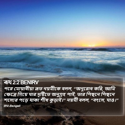 ৰূথ 2:2 BENIRV Bible Verse Image