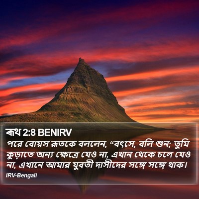 ৰূথ 2:8 BENIRV Bible Verse Image