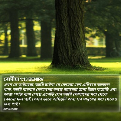 ৰোমীয়া 1:13 BENIRV Bible Verse Image