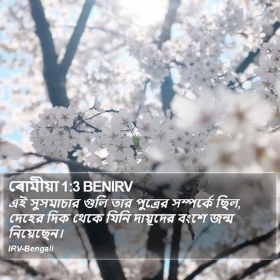 ৰোমীয়া 1:3 BENIRV Bible Verse Image