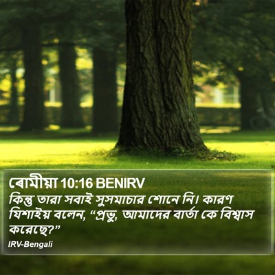 ৰোমীয়া 10:16 BENIRV Bible Verse Image