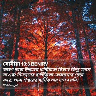 ৰোমীয়া 10:3 BENIRV Bible Verse Image