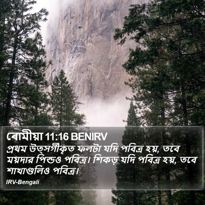 ৰোমীয়া 11:16 BENIRV Bible Verse Image