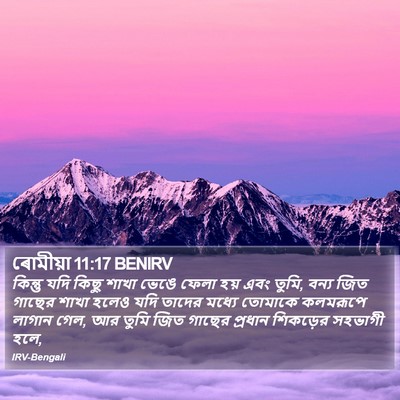 ৰোমীয়া 11:17 BENIRV Bible Verse Image