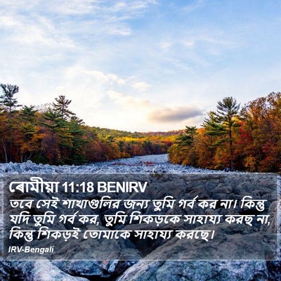 ৰোমীয়া 11:18 BENIRV Bible Verse Image