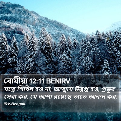 ৰোমীয়া 12:11 BENIRV Bible Verse Image