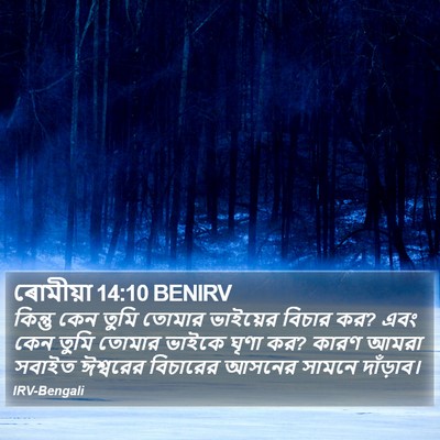 ৰোমীয়া 14:10 BENIRV Bible Verse Image