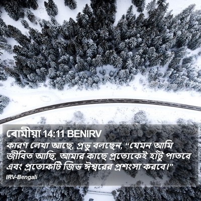 ৰোমীয়া 14:11 BENIRV Bible Verse Image