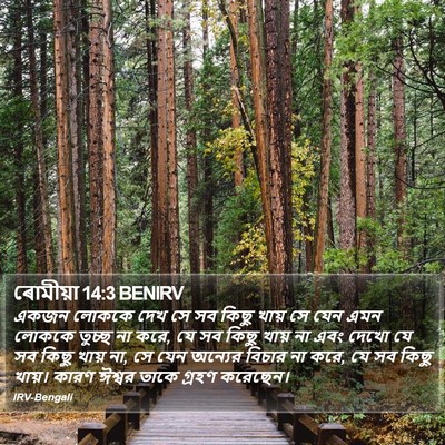 ৰোমীয়া 14:3 BENIRV Bible Verse Image