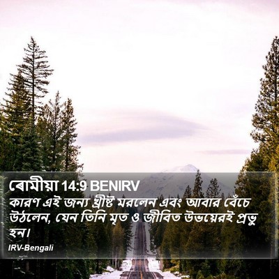 ৰোমীয়া 14:9 BENIRV Bible Verse Image
