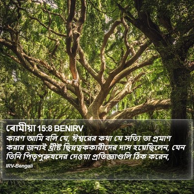 ৰোমীয়া 15:8 BENIRV Bible Verse Image