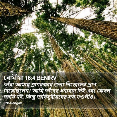 ৰোমীয়া 16:4 BENIRV Bible Verse Image