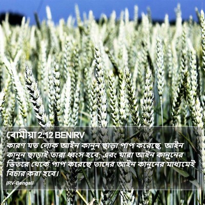 ৰোমীয়া 2:12 BENIRV Bible Verse Image