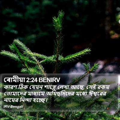 ৰোমীয়া 2:24 BENIRV Bible Verse Image