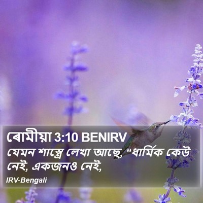 ৰোমীয়া 3:10 BENIRV Bible Verse Image