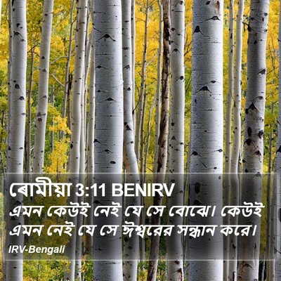 ৰোমীয়া 3:11 BENIRV Bible Verse Image