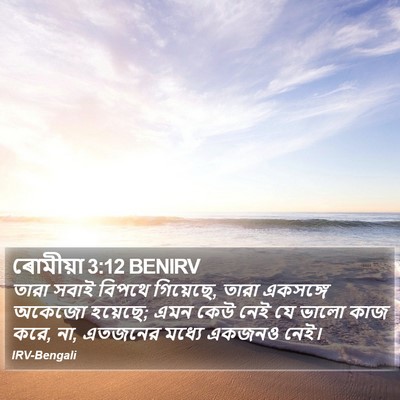 ৰোমীয়া 3:12 BENIRV Bible Verse Image