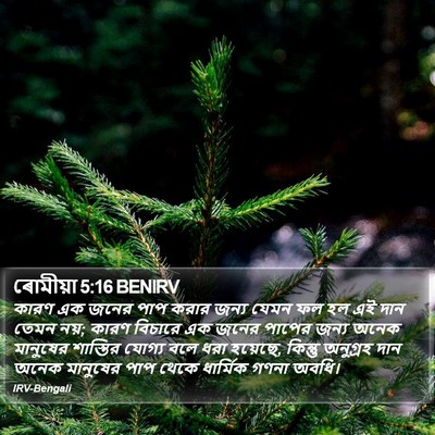 ৰোমীয়া 5:16 BENIRV Bible Verse Image