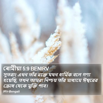 ৰোমীয়া 5:9 BENIRV Bible Verse Image